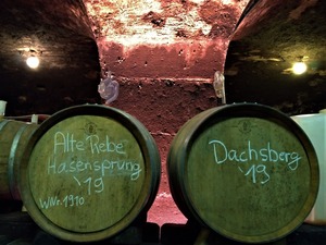 P_20191018_110209_1600