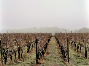 IMG_20190122_102524-2_1600