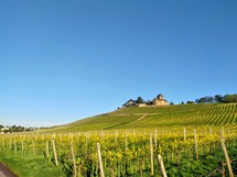 IMG_20180416_074405_1600