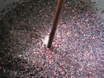 IMG_20180924_120522_1600