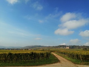 IMG_20201019_113551_1600