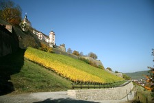 IMG_3107 - ���ԡ�_1600