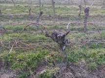 IMG_20180305_174230_1600