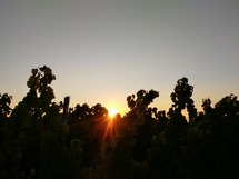 IMG_20180928_074437_1600