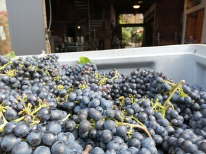 IMG_20200917_150310_1600