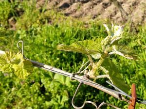 IMG_20190421_092022_1600