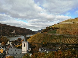 IMG_20201031_103346_1600