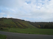 Lauf-03-02_1600_1600