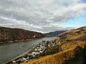 IMG_20201031_103701_1600