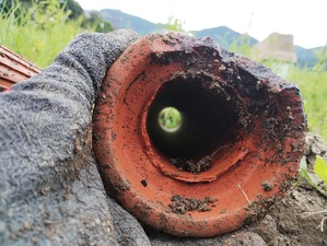 IMG_20240723_093126904