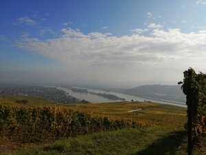 IMG_20201019_123733_1600