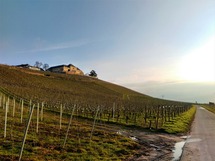 IMG_20180314_073712_1600