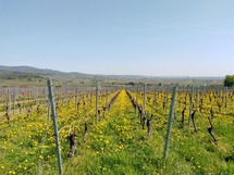 IMG_20180419_115757_1600