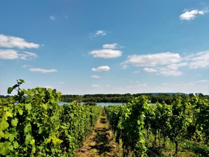 IMG_20180629_161257_1600