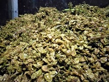 IMG_20180913_132402_1600