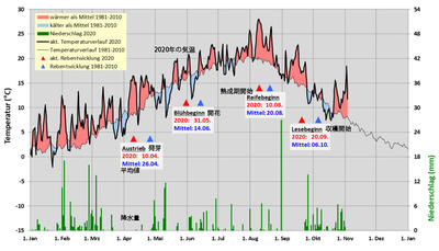 Wetterdaten-2020 JPN