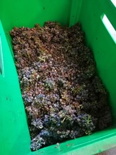 IMG_20200922_160037_1600