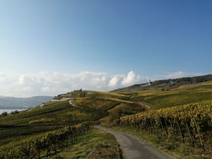 IMG_20201019_125714_1600