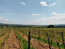 IMG_20180503_120048_1600