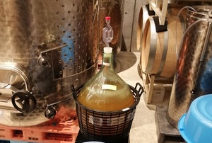 IMG_20221216_071059-01