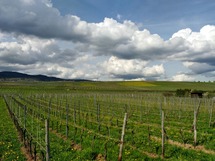 IMG_20180415_160254_1600