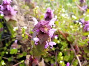 IMG_20190329_111008_1600