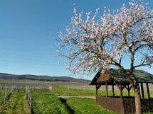 IMG_20180406_173406_1600