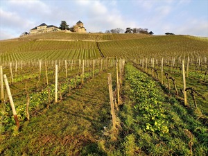 IMG_20180314_073916_1600