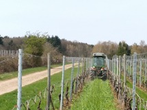 IMG_20180410_150052_1600