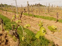 IMG_20180423_101205_1600