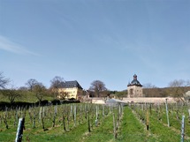 IMG_20180408_113735_1600