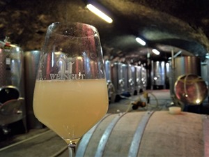 P_20191005_114815_1600