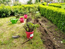 IMG_20180517_151431_1600