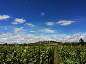 IMG_20200701_140046_1600