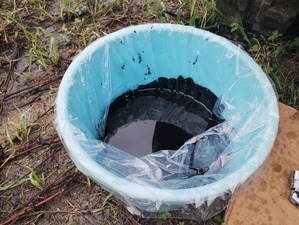 IMG_20240628_154219334