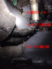 IMG_20240725_182144725-web