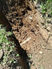 IMG_20240722_110457918_HDR