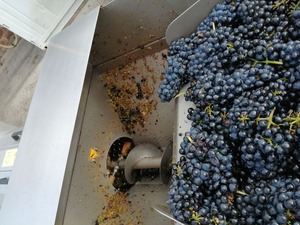 IMG_20200917_154717_1600