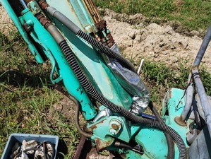 IMG_20240721_095323664