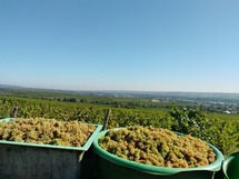 IMG_20180927_130153_1600