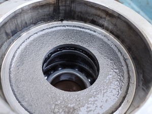 IMG_20240801_171939916