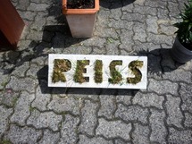 WP_20160615_15_24_33_Pro