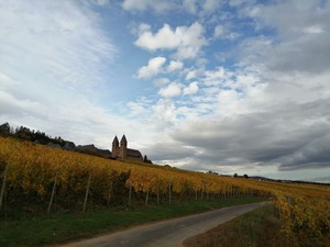 IMG_20201025_131612_1600