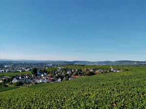 IMG_20180916_104250_1600