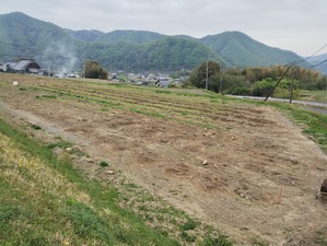 IMG_20250420_101347476