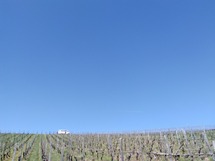 IMG_20180406_152701_1600