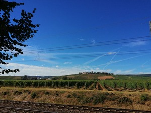 IMG_20200820_154429_1024