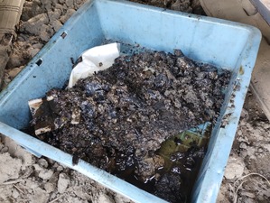 IMG_20240723_181419770