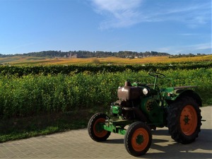 P_20191024_153203_1600