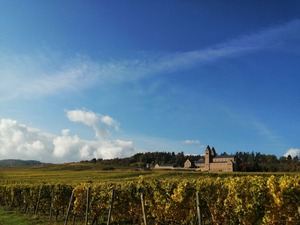 IMG_20201019_131614_1600